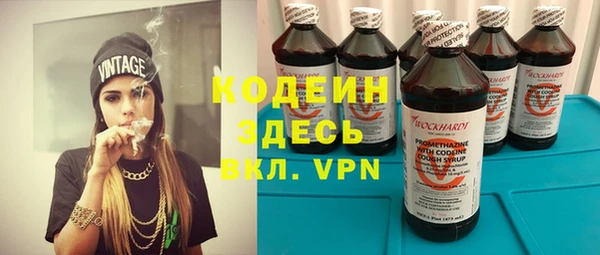 индика Беломорск