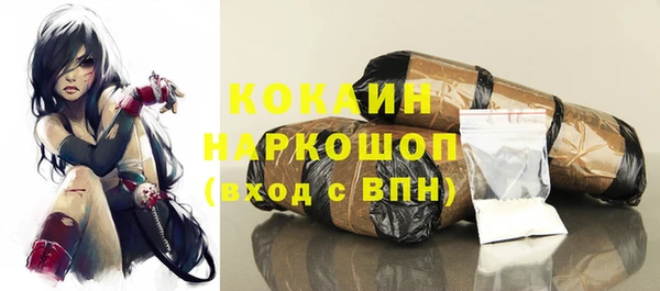 индика Беломорск