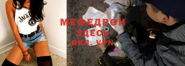 индика Беломорск