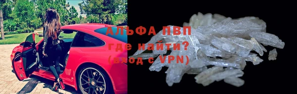 амф Белокуриха