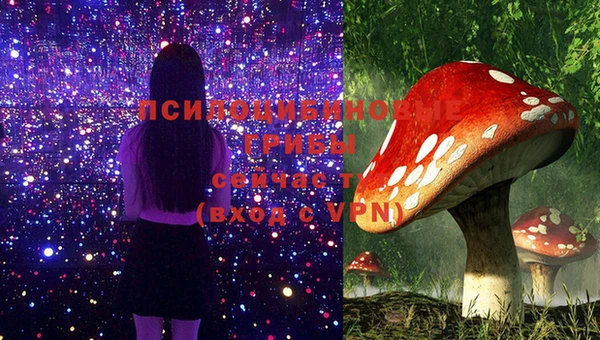 СК Белоозёрский