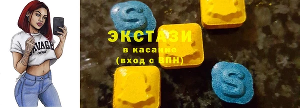 индика Беломорск