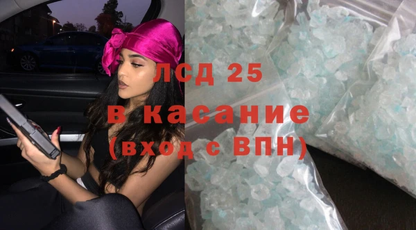 индика Беломорск